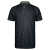 BLACK-DarkSlate-GreenFlash